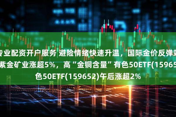 专业配资开户服务 避险情绪快速升温，国际金价反弹站稳3310美元，紫金矿业涨超5%，高“金铜含量”有色50ETF(159652)午后涨超2%