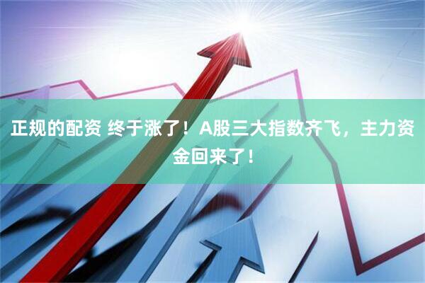 正规的配资 终于涨了！A股三大指数齐飞，主力资金回来了！