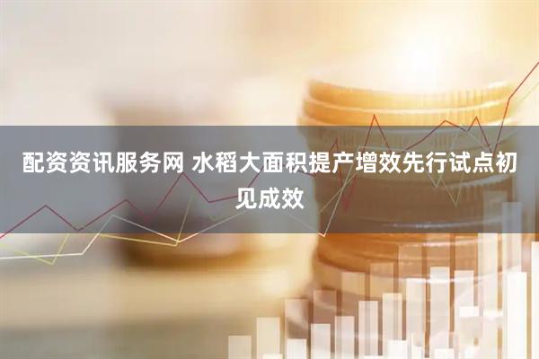 配资资讯服务网 水稻大面积提产增效先行试点初见成效